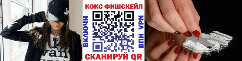 Cocaine FishScale  Купить  Болохово 