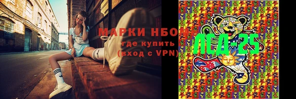 хмурый Арсеньев
