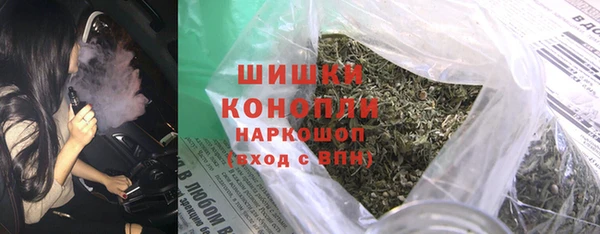 хмурый Арсеньев